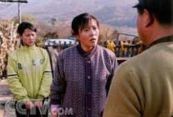 所有东北农村电视剧,描绘乡土风情，传承民俗文化