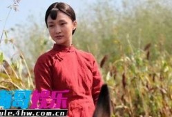 电视剧红高粱剧情简介,烽火岁月里的爱情与抗争