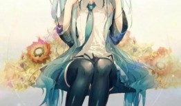 初音未来动漫,虚拟偶像的奇迹之旅