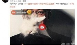 明星直播间吃瓜爆料事件,揭秘娱乐圈幕后真相