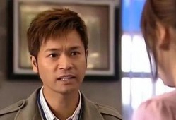 郭晋安电视剧,情感与正义的交织篇章
