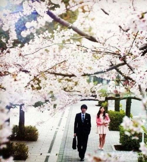 电视剧樱花,一场跨越时空的浪漫邂逅