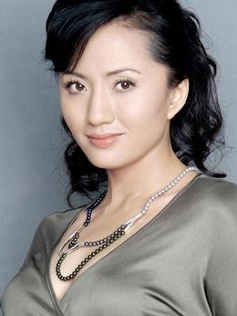 陆玲主演的电视剧,情感纠葛与命运抉择