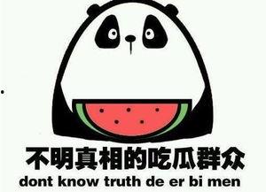 吃瓜群是干嘛的,网络社交新趋势的诞生与影响